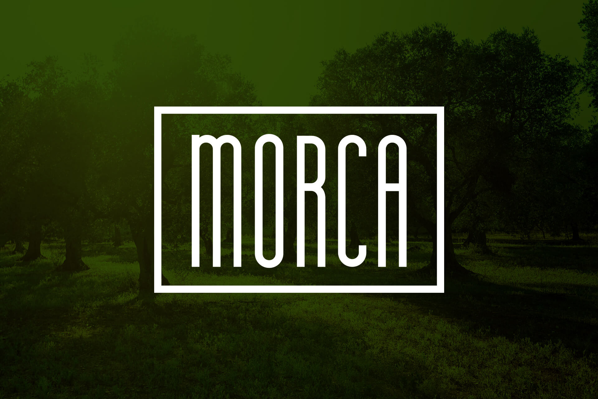 Logo Proyecto Morca