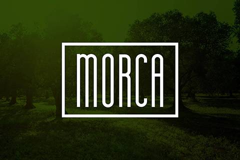Logotipo de Morca